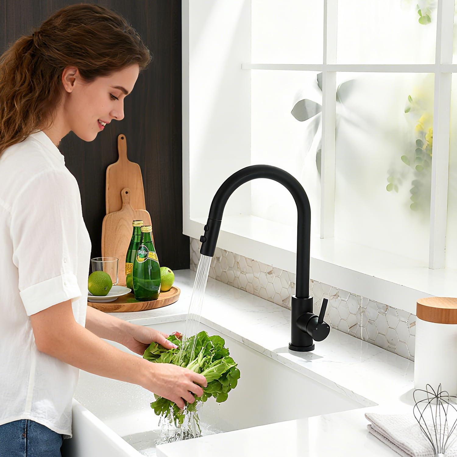 Stellen Pull Down Bar Faucet