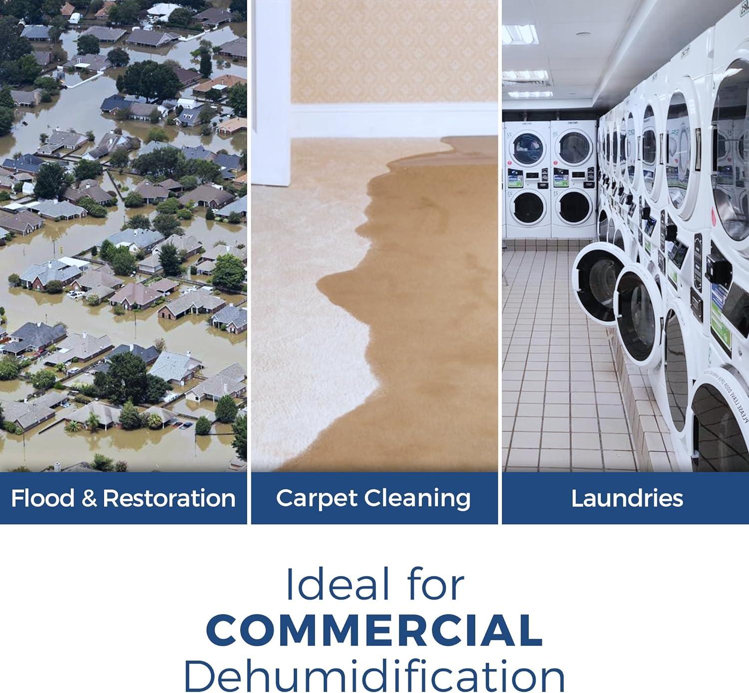 Alorair Sentinal Hd55 113 pt Dehumidifier in Blue - Automatic Shut Off, Adjustable Humistat,with Drain Hose for Crawl Spaces