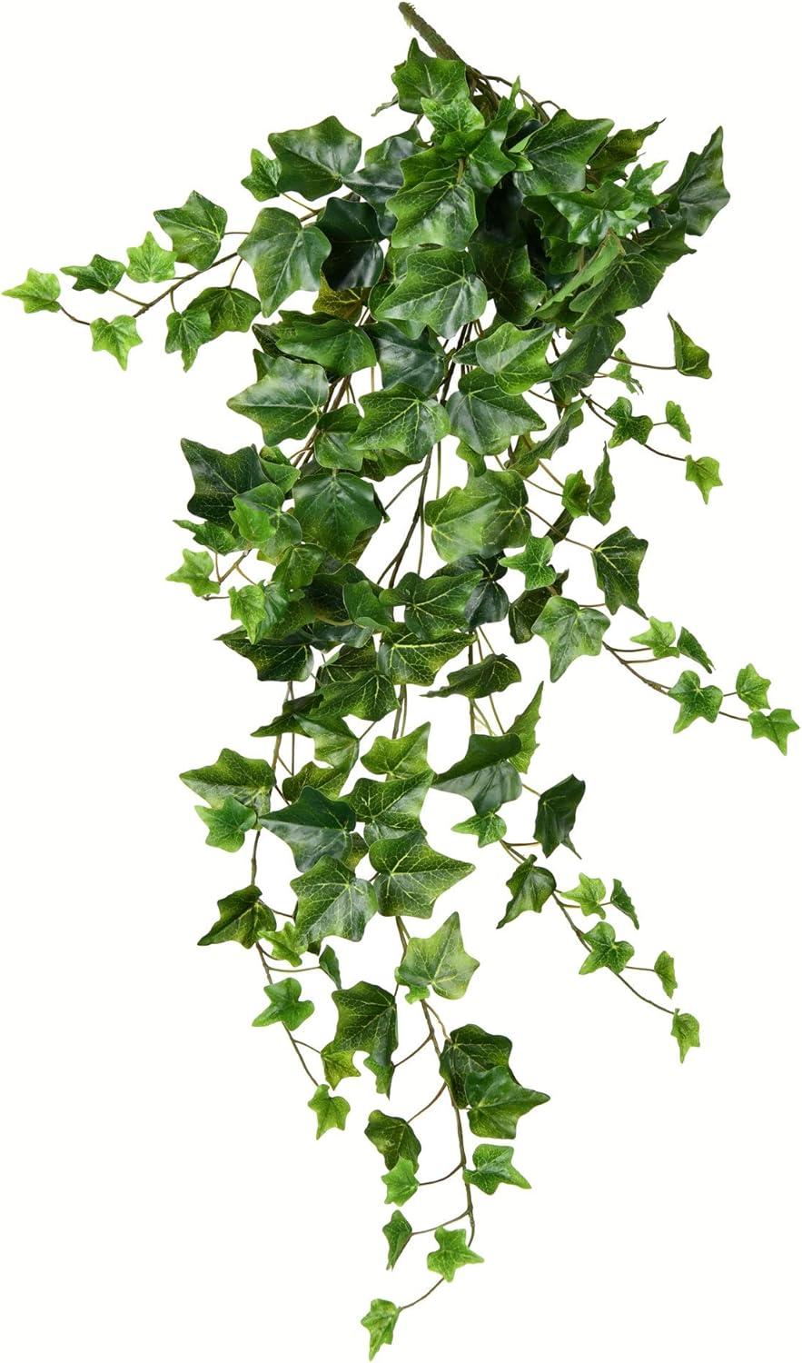 Vickerman 28" Artificial Green Ivy Hanging Bush, Pack of 2