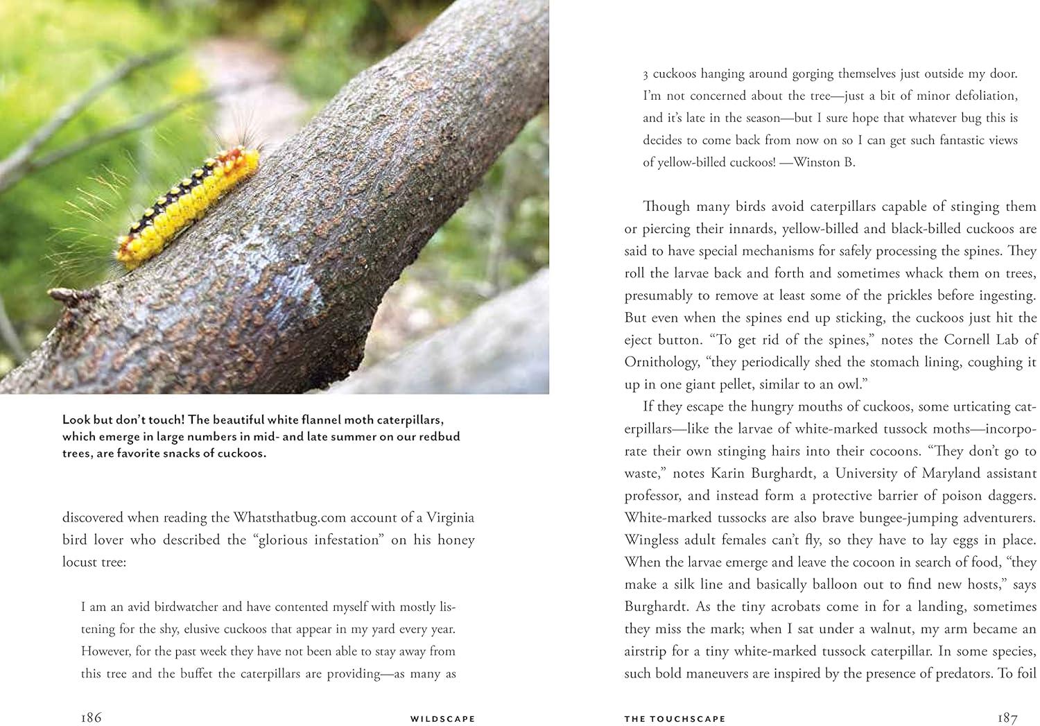Wildscape Hardcover Book: Sensory Wonders of Nature