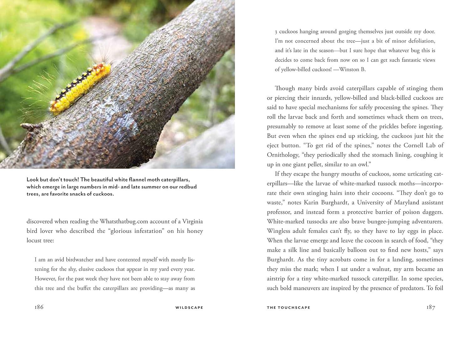 Wildscape Hardcover Book: Sensory Wonders of Nature
