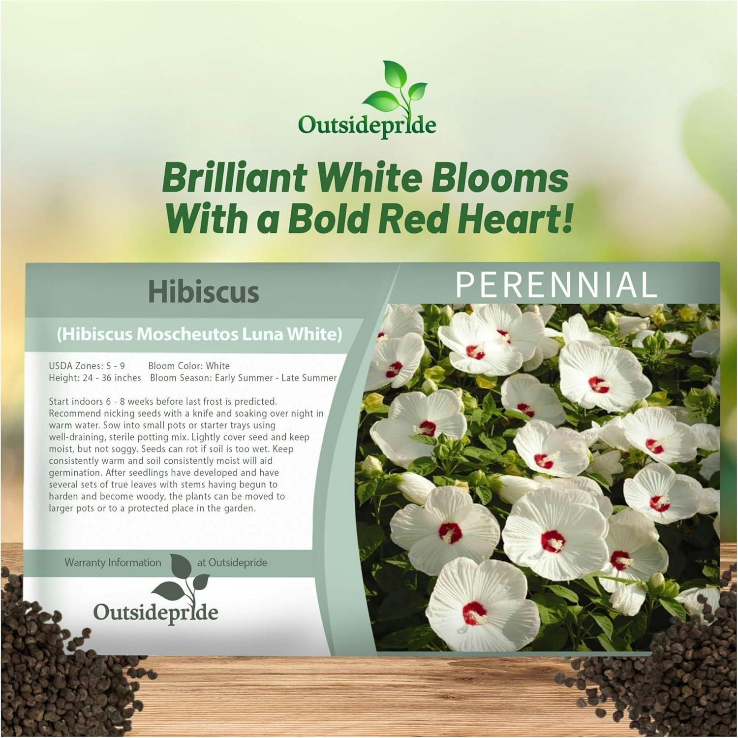 Luna White Hibiscus Seeds with Large Red-Centered Blooms