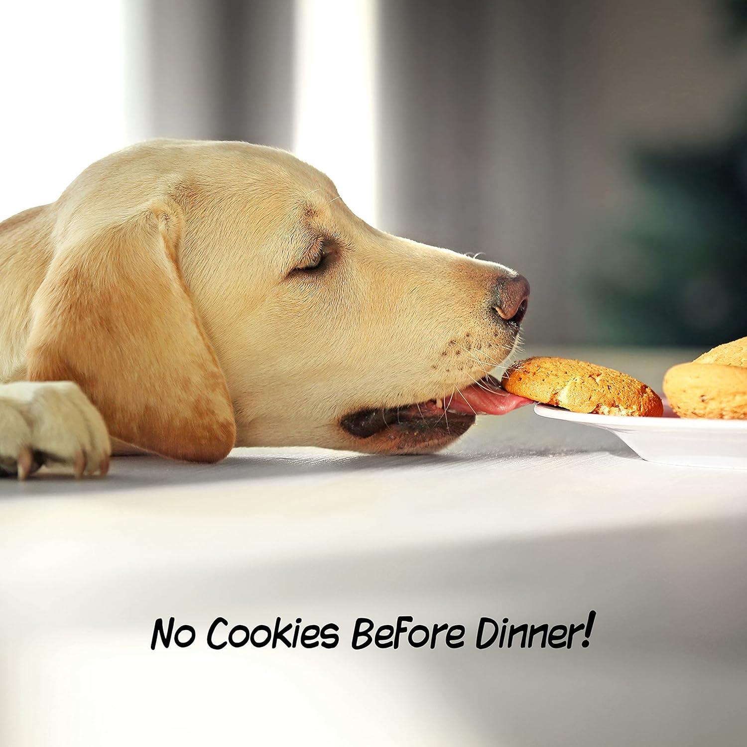 Indoor Pet Gate - 3-Panel Folding Dog Gate for Stairs or Doorways - 54x24-Inch Freestanding Pet Fence for Cats and Dogs by PETMAKER (Gray)