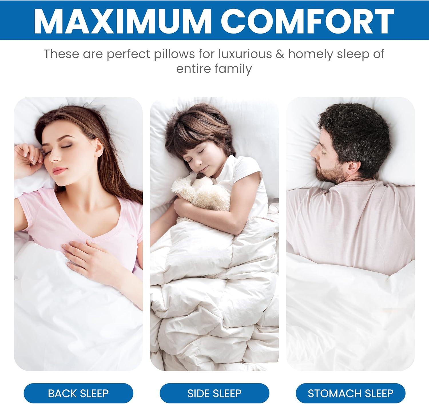 White King Size Polyester Bed Pillows Set of 2