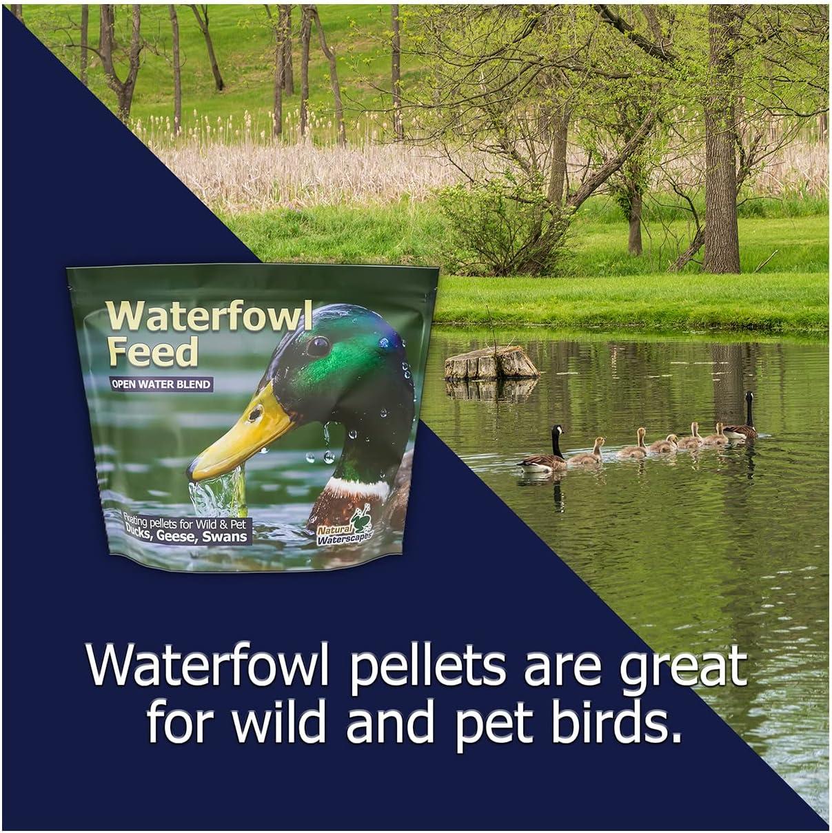 Natural Waterscapes Waterfowl Feed Open Water Diet 40 lb | for Feeding Ducks Geese Swans | Floating Pellets with Niacin for Ducks