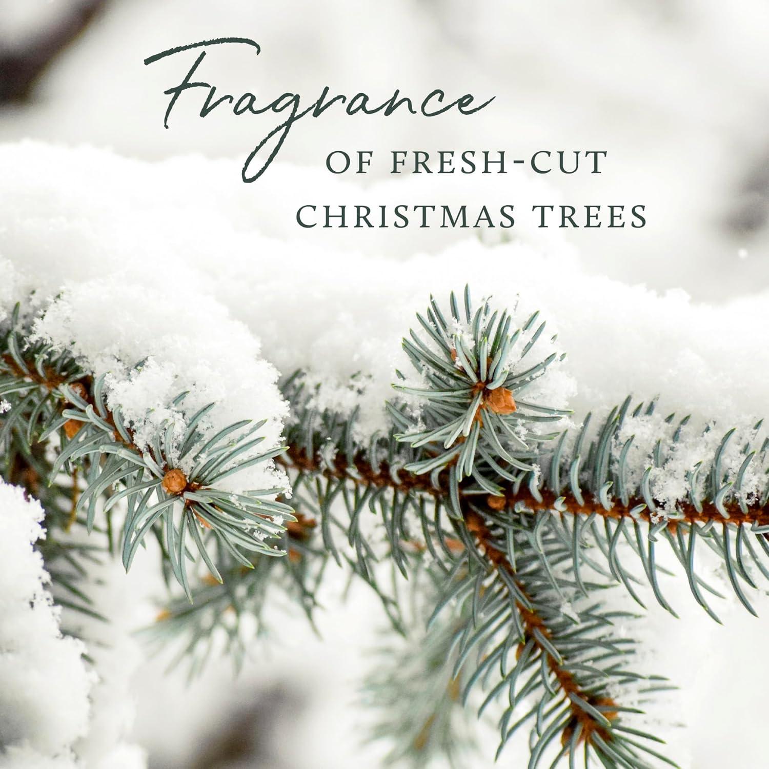 Thymes Frasier Fir Pine Needle Reed Diffuser 7.75 oz