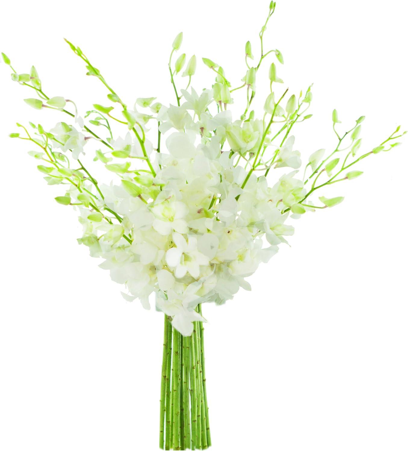 KaBloom : Fields of Tranquility Bouquet of 20 White Orchid With Vase.Gift for Birthday, Sympathy, Anniversary, Get Well, Thank You, Valentine, Mother’s Day Fresh Flowers