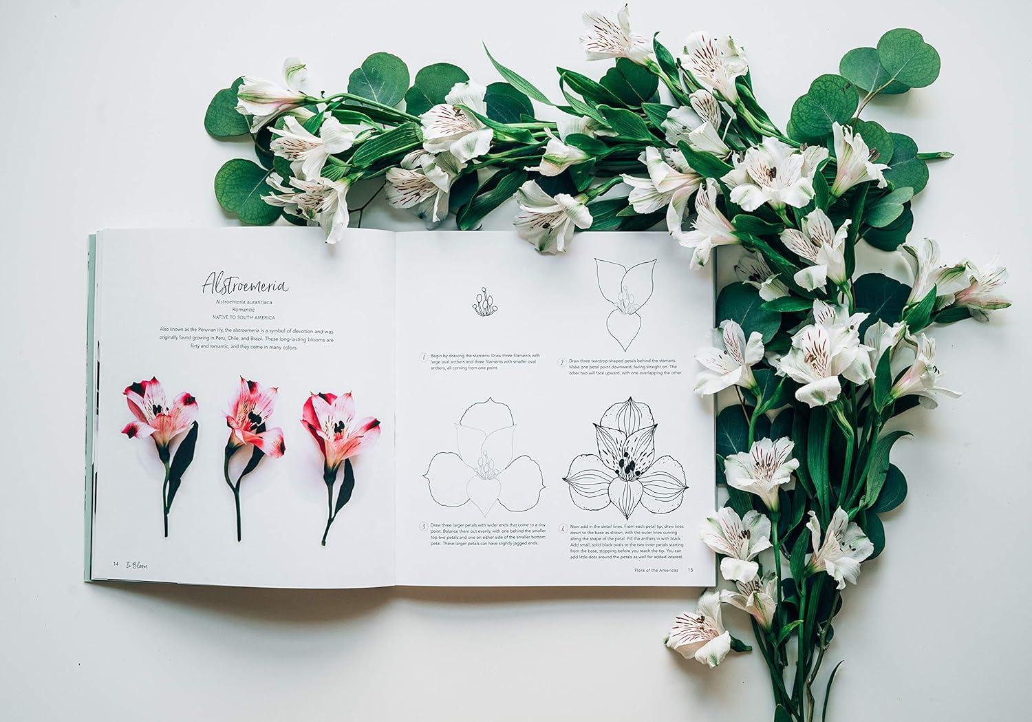 In Bloom: A Step-By-Step Guide to Drawing Lush Florals - An Easy How-To-Draw Flowers Book for Beginners, (Paperback)