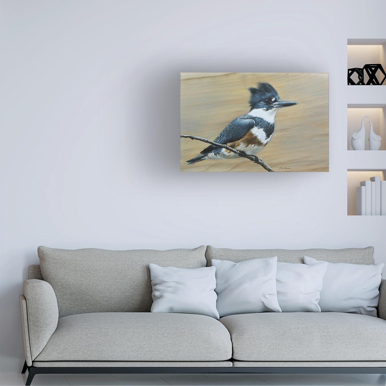 Canvas Wall Art - Jim Brune 'Belted Kingfisher' Wall Art for Living Room, Bedroom, or Office DÃ©cor by Trademark Fine Art - 19 x 12 Inches