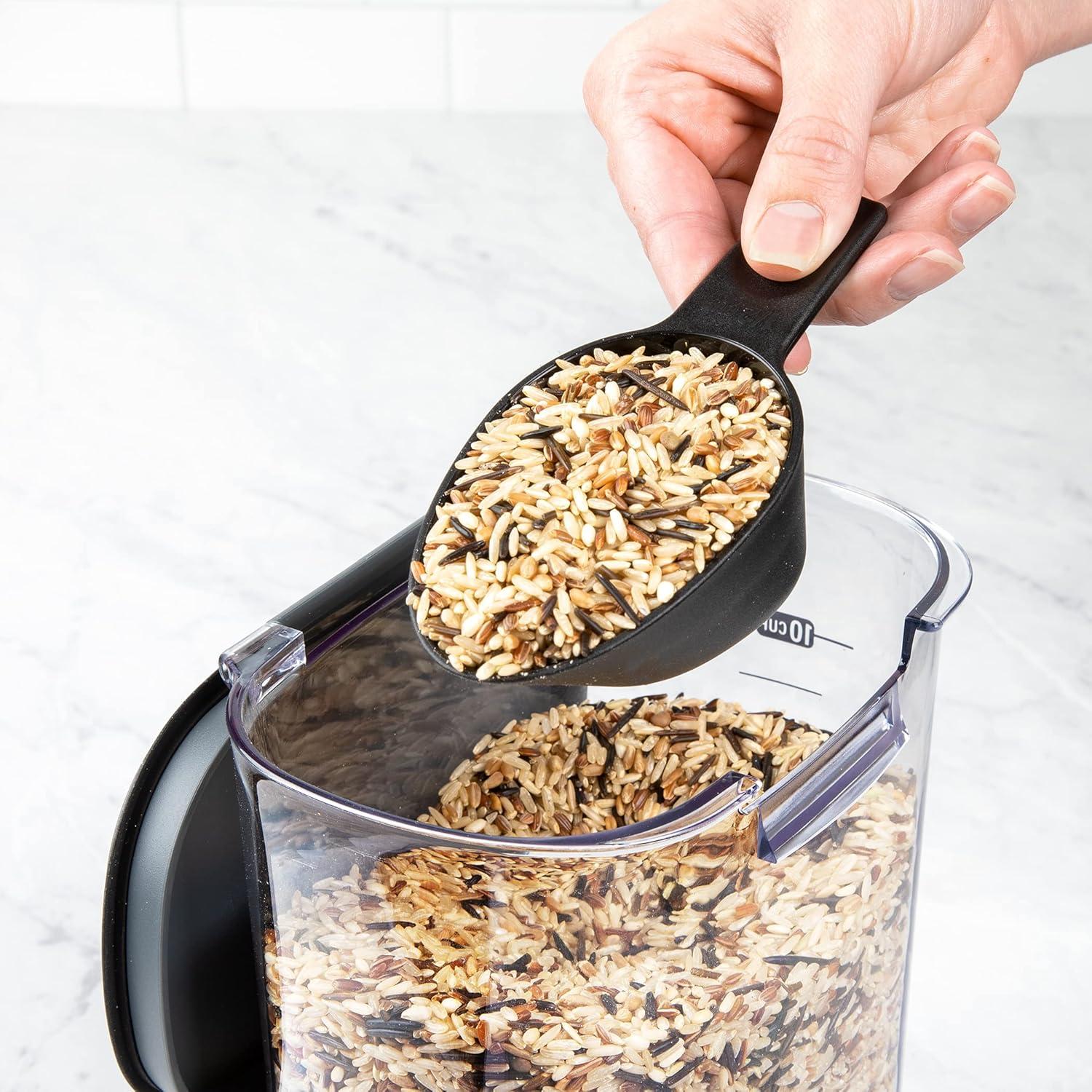 Clear BPA-Free Stainless Steel Grain Storage Container with Scoop