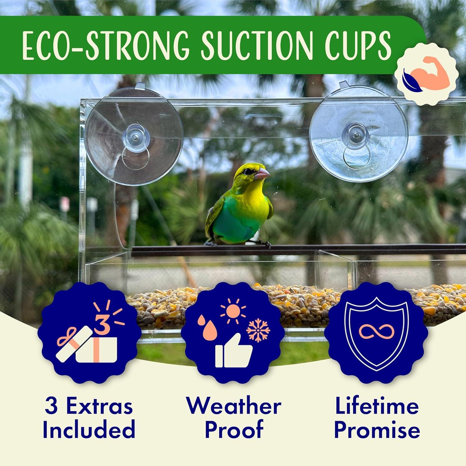Nature’s Hangout Clear Suction Cup Window Bird Feeder for Wild Birds