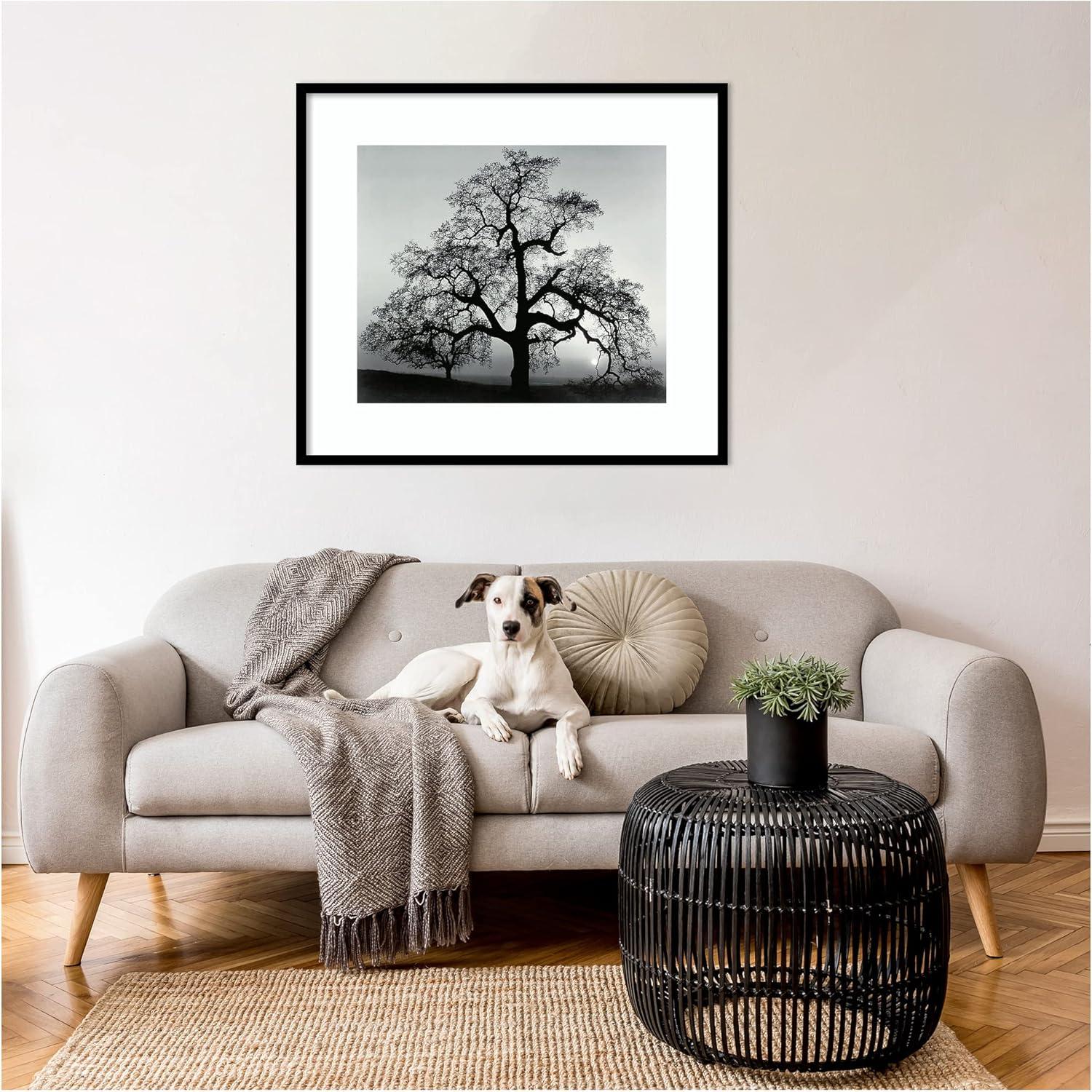 Amanti Art Framed Wall Art Print 27x31 Oak Tree Sunset City California 1962 by Ansel Adams, Landscapes Wall Art, Museum Masters Decor, Large Poster Painting Artwork for Living Room, Bedroom, Bathroom