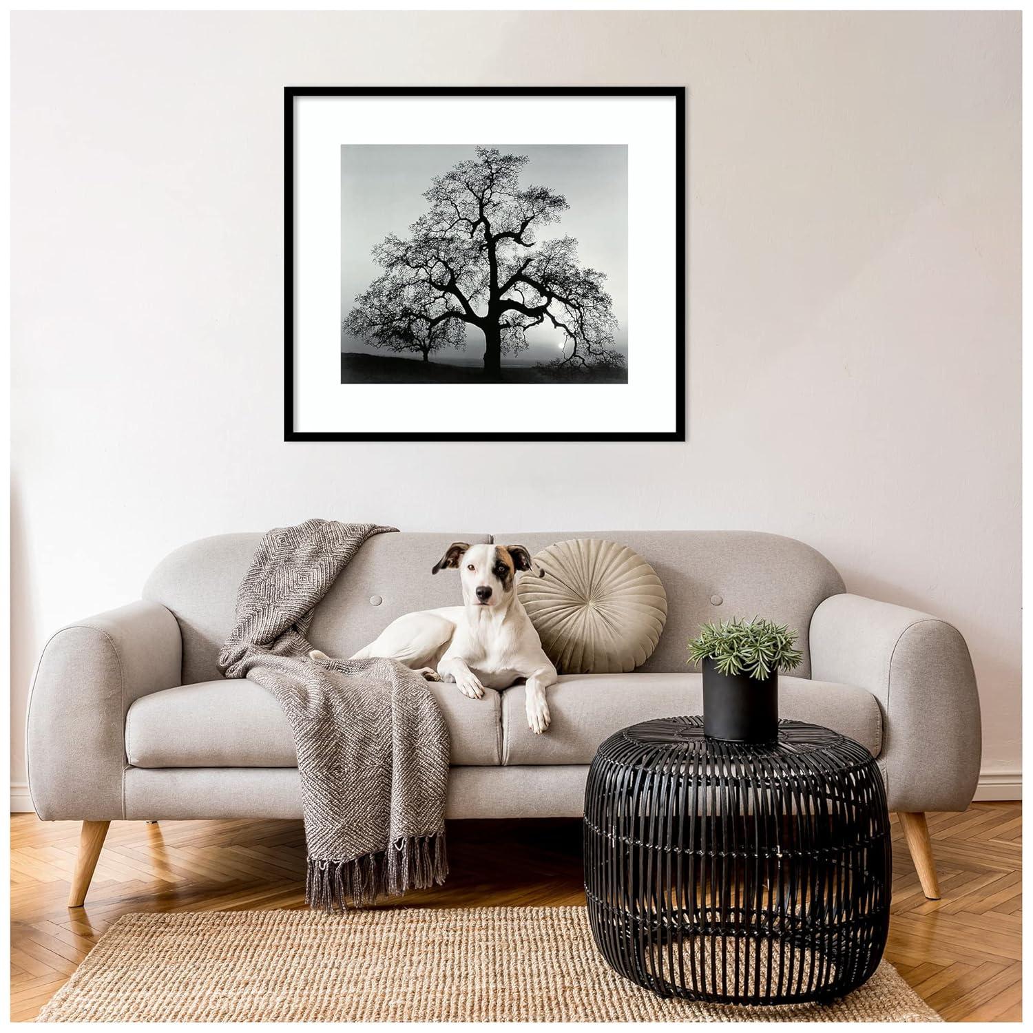 Amanti Art Framed Wall Art Print 27x31 Oak Tree Sunset City California 1962 by Ansel Adams, Landscapes Wall Art, Museum Masters Decor, Large Poster Painting Artwork for Living Room, Bedroom, Bathroom