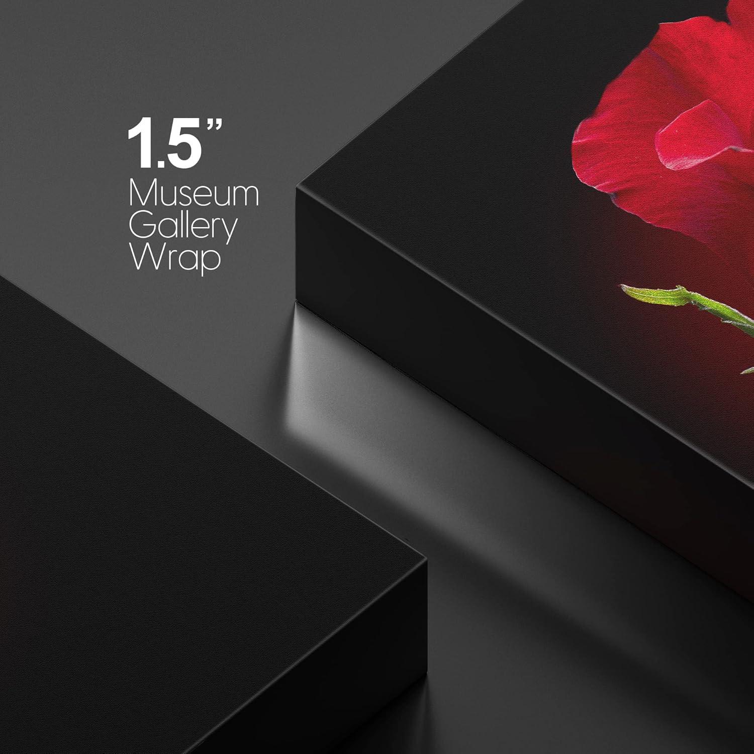 Canvas Prints Wall Art - Closeup of Red Rose Flower Against Black Background | Modern Wall Decor/Home Decoration Stretched Gallery Canvas Wrap Giclee Print & Ready to Hang - 32" x 48"