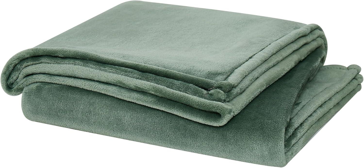 Cannon Solid Plush Throw Blanket