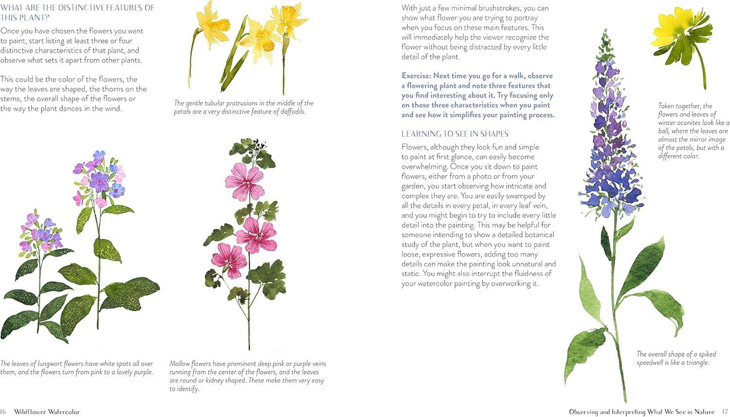 Wildflower Watercolor - by Sushma Hegde (Paperback)