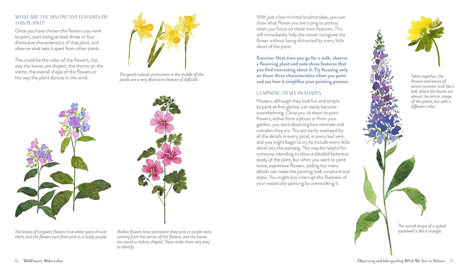 Wildflower Watercolor - by Sushma Hegde (Paperback)