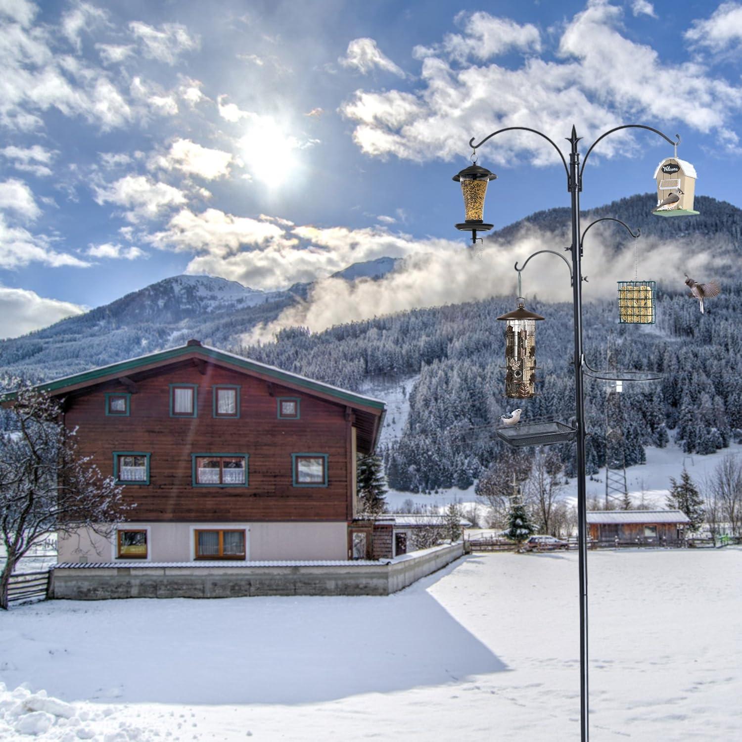 Ashman Online Deluxe Rustproof Bird Feeding Station with Suet Cage, Water Dish, Hanging Kit, Black