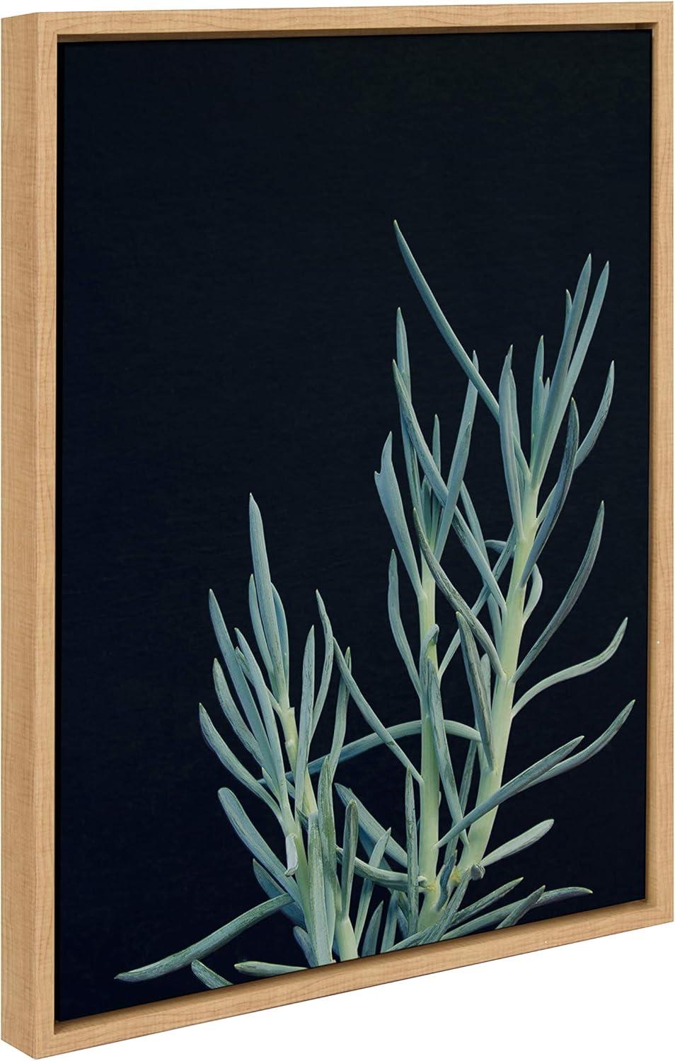 18" x 24" Sylvie Succulent 16 Framed Canvas by F2 Images Natural - Kate and Laurel