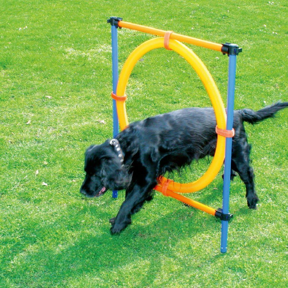 PAWISE Dog Training Exercise Equipment,Puppy Agility Training Kit, Jump Ring Outdoor,Playground Equipment Outdoor,Dog Agility Jumps for Backyards, Parks, and Playgrounds