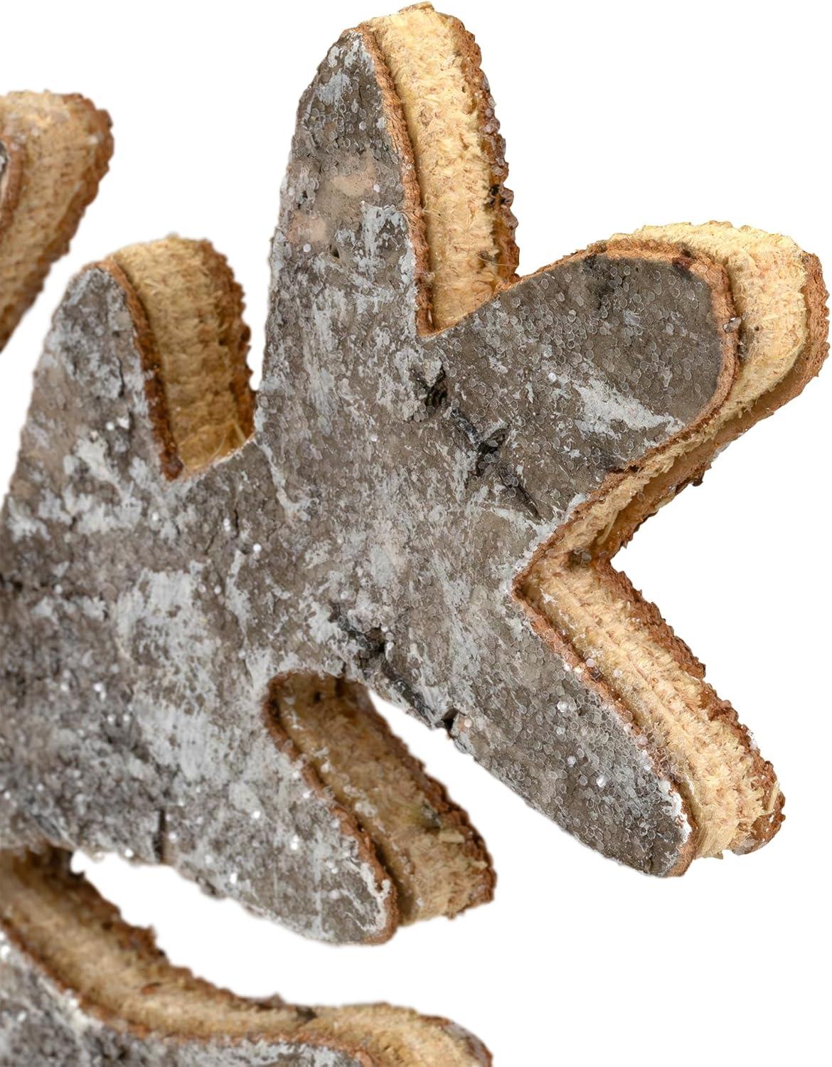 Northlight Wooden Snowflake Christmas Ornament - 10" - Silver and Gold