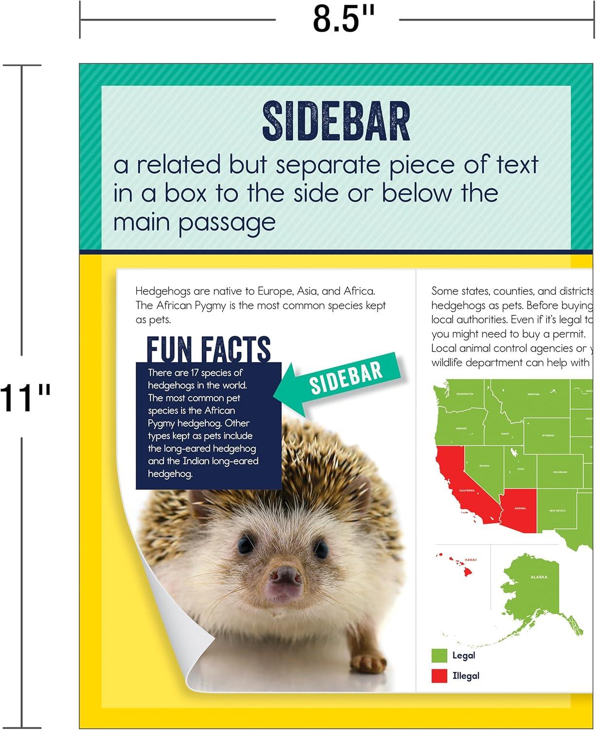 Carson Dellosa Mini Posters: Nonfiction Text Features Poster Set (14 mini posters) Grade 1-6