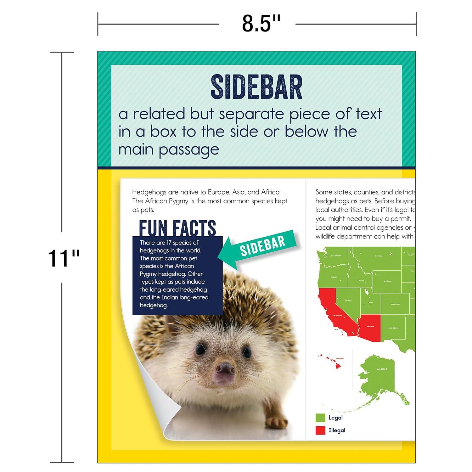 Carson Dellosa Mini Posters: Nonfiction Text Features Poster Set (14 mini posters) Grade 1-6