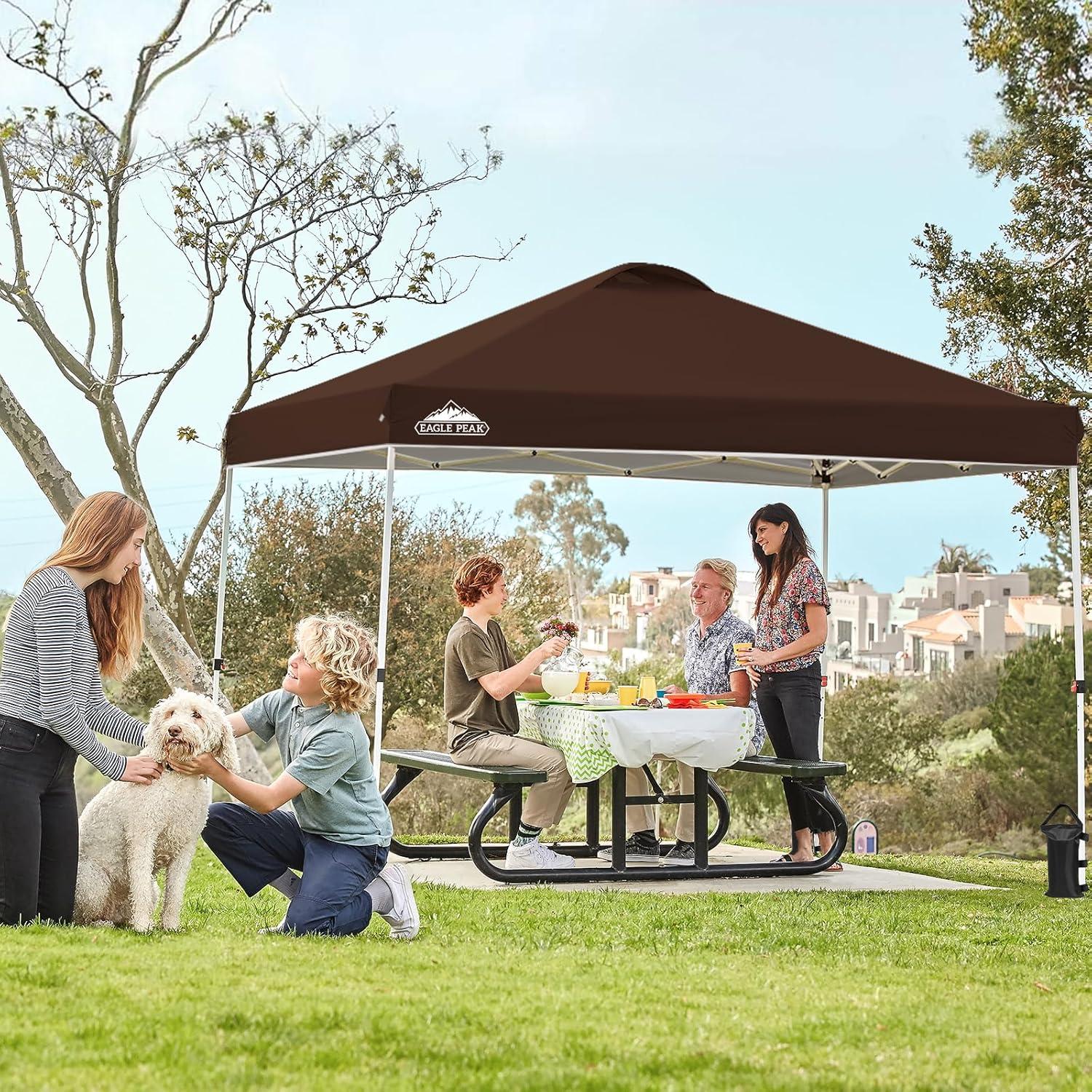 EAGLE PEAK Pop Up Canopies 10 Ft. W x 10 FT. D Metal Party Tent Canopy