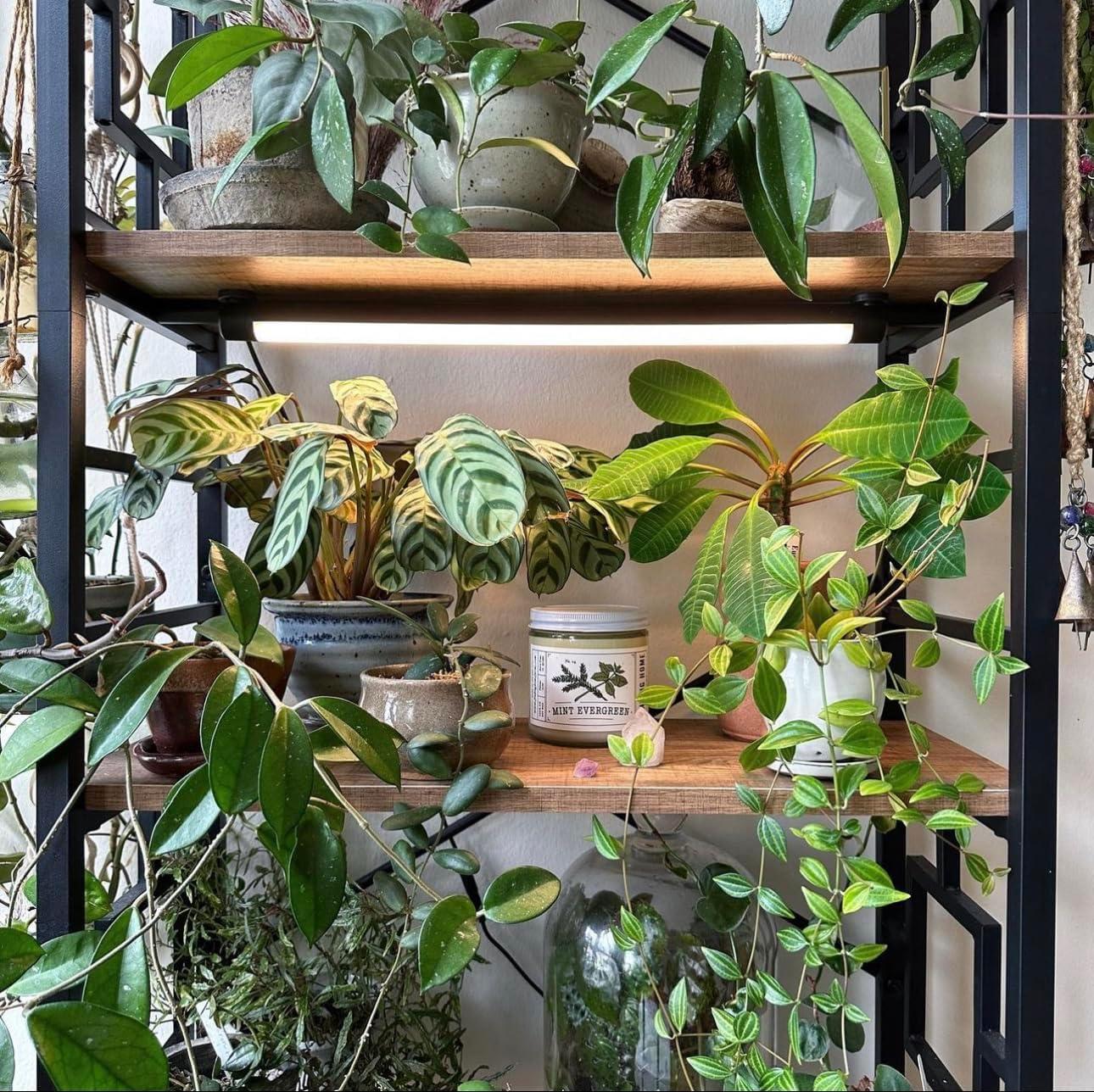 Soltech Solutions Grove™ LED Grow Light - Under-Cabinet/Shelving or Wall Mounted LED bar Light for Indoor houseplants and Herbs - Touch Control Power and dimming (White)