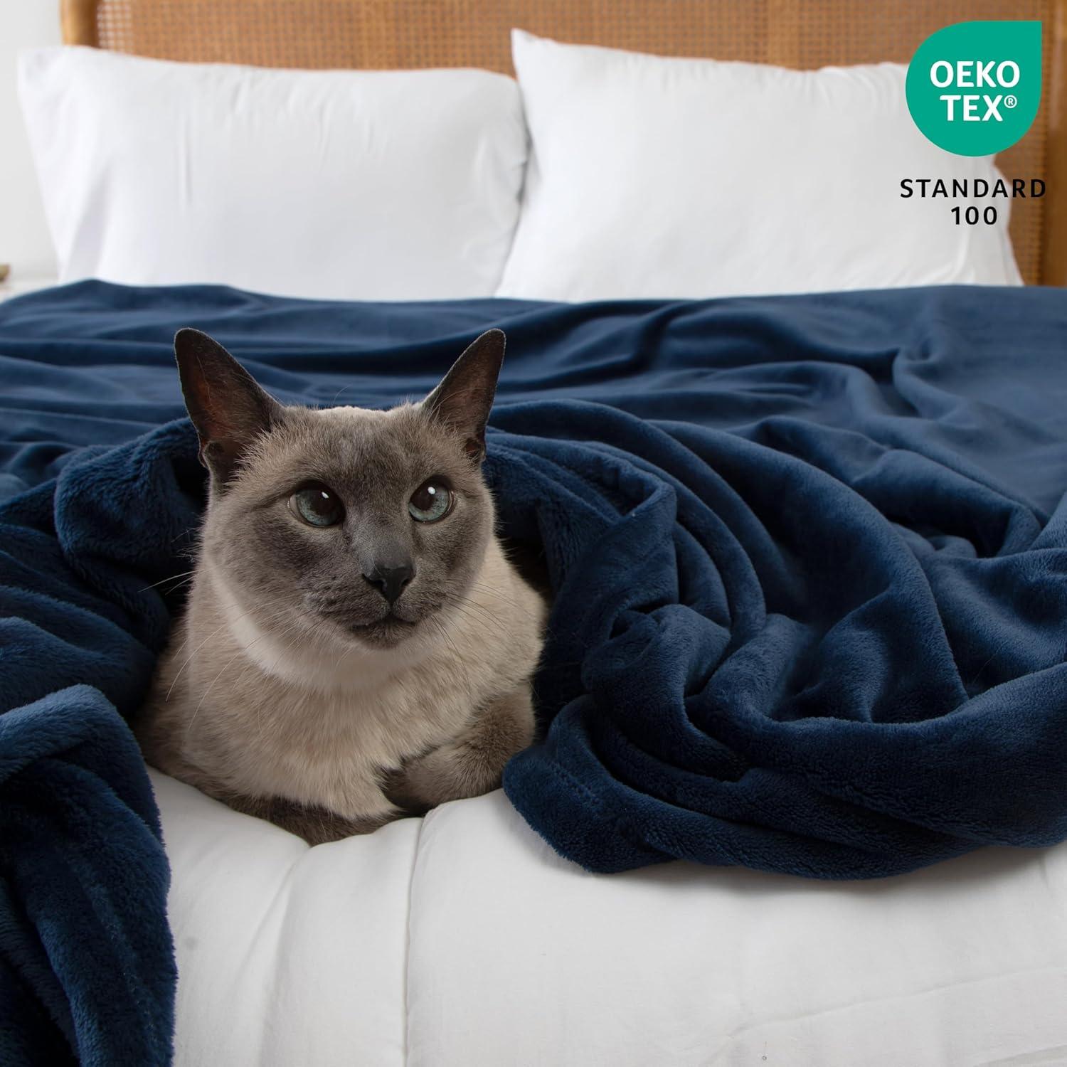 Casual Living, Blanket, 32594