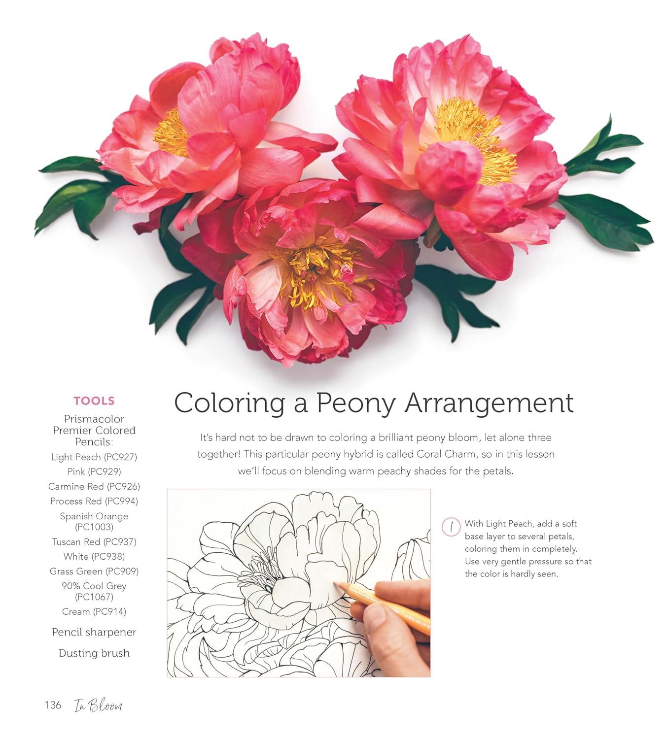 In Bloom: A Step-By-Step Guide to Drawing Lush Florals - An Easy How-To-Draw Flowers Book for Beginners, (Paperback)
