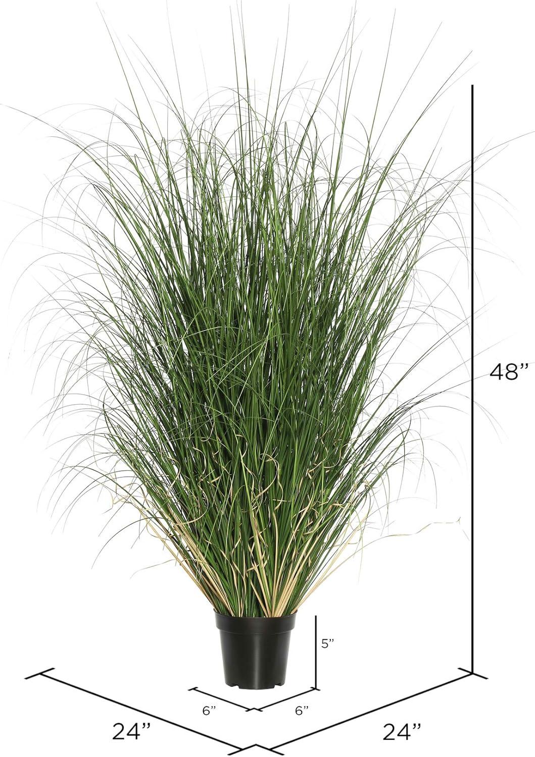 Vickerman 48" Artificial Potted Green Curled Grass. In a 6"Lx6"Wx5"H base.
