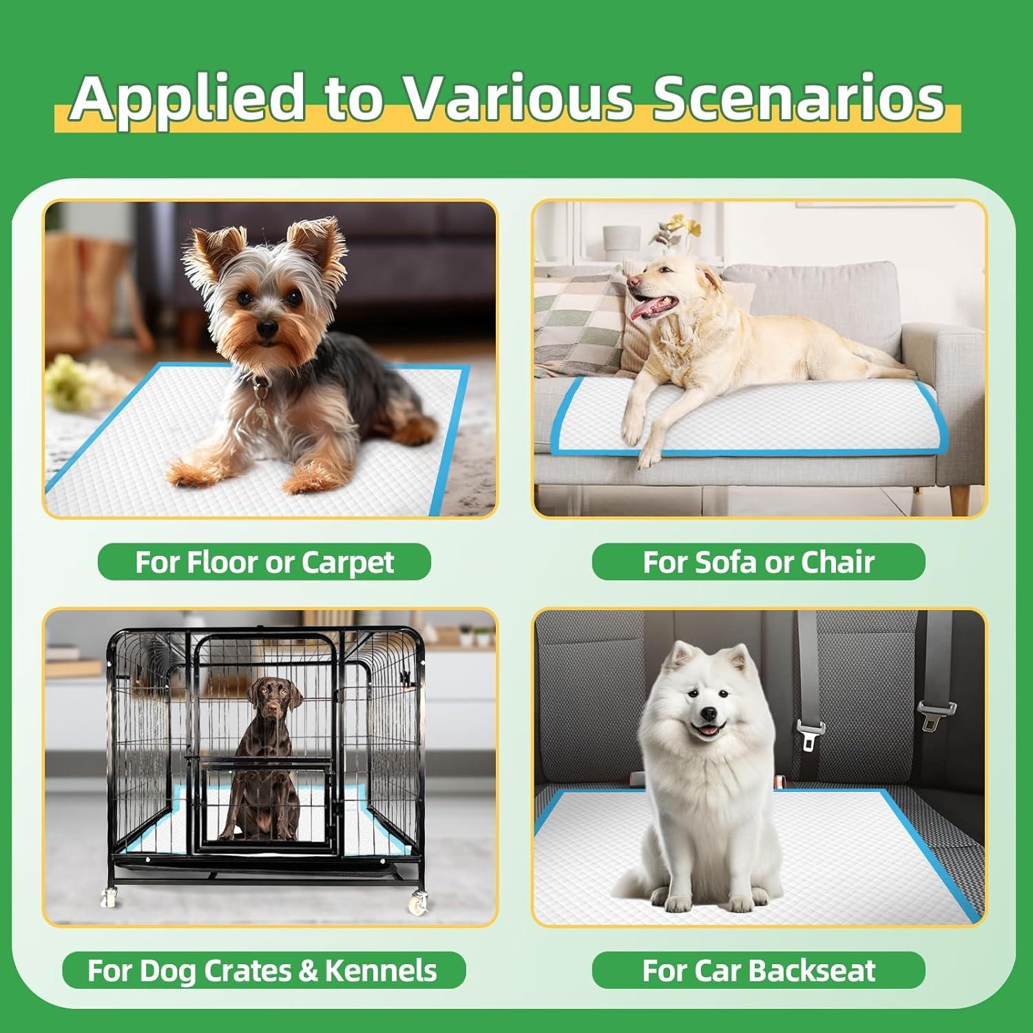 Pee Pads for Dogs - 30" X 36" Extra Large Puppy Pads XXL Potty Training Pads for Pet Wee Wee Pads Quick Absorbent Disposable Leak-Proof Pee Pads for Dogs Large Puppy Supplies - 30 Count