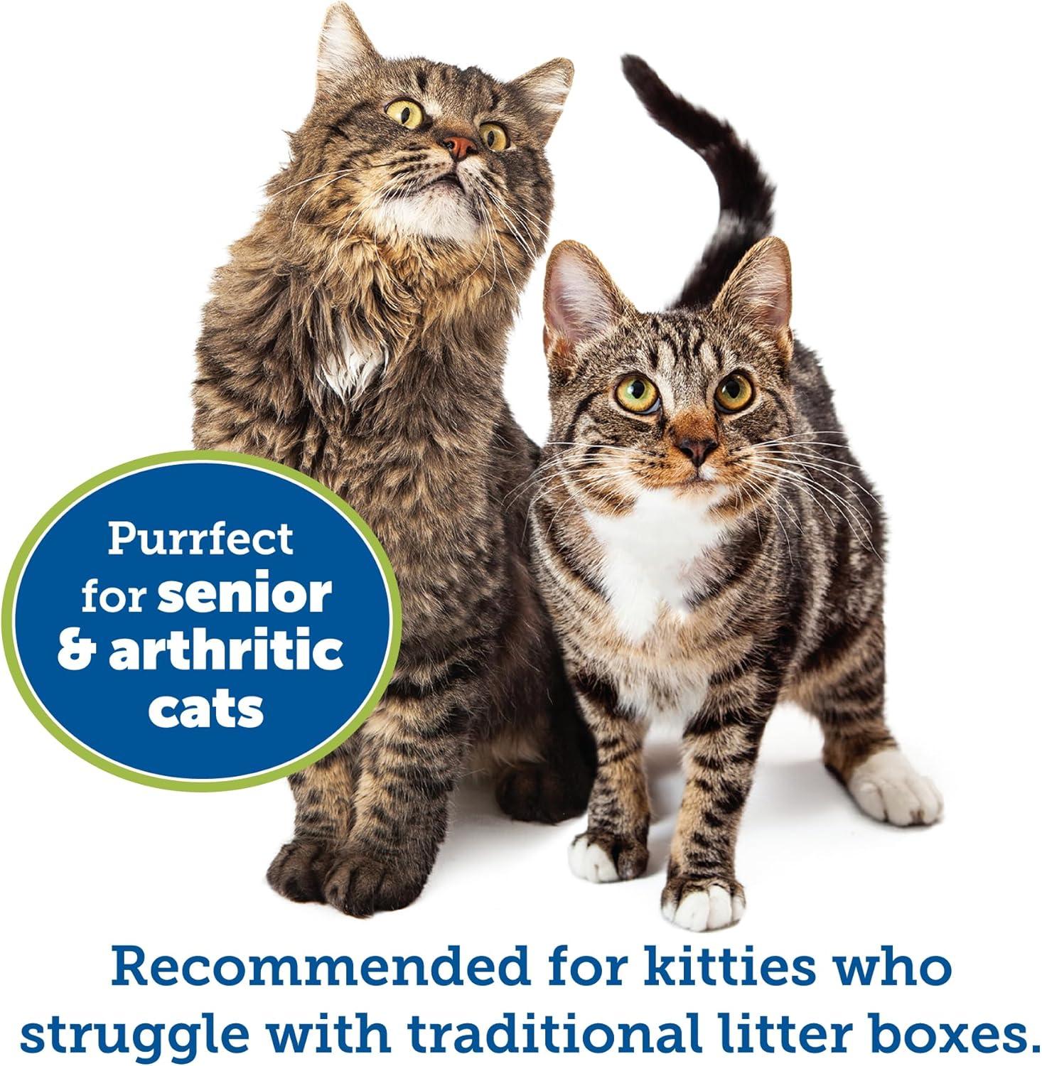 Kitty Go Here Senior Cat Litter Box Sand Color, Small Size