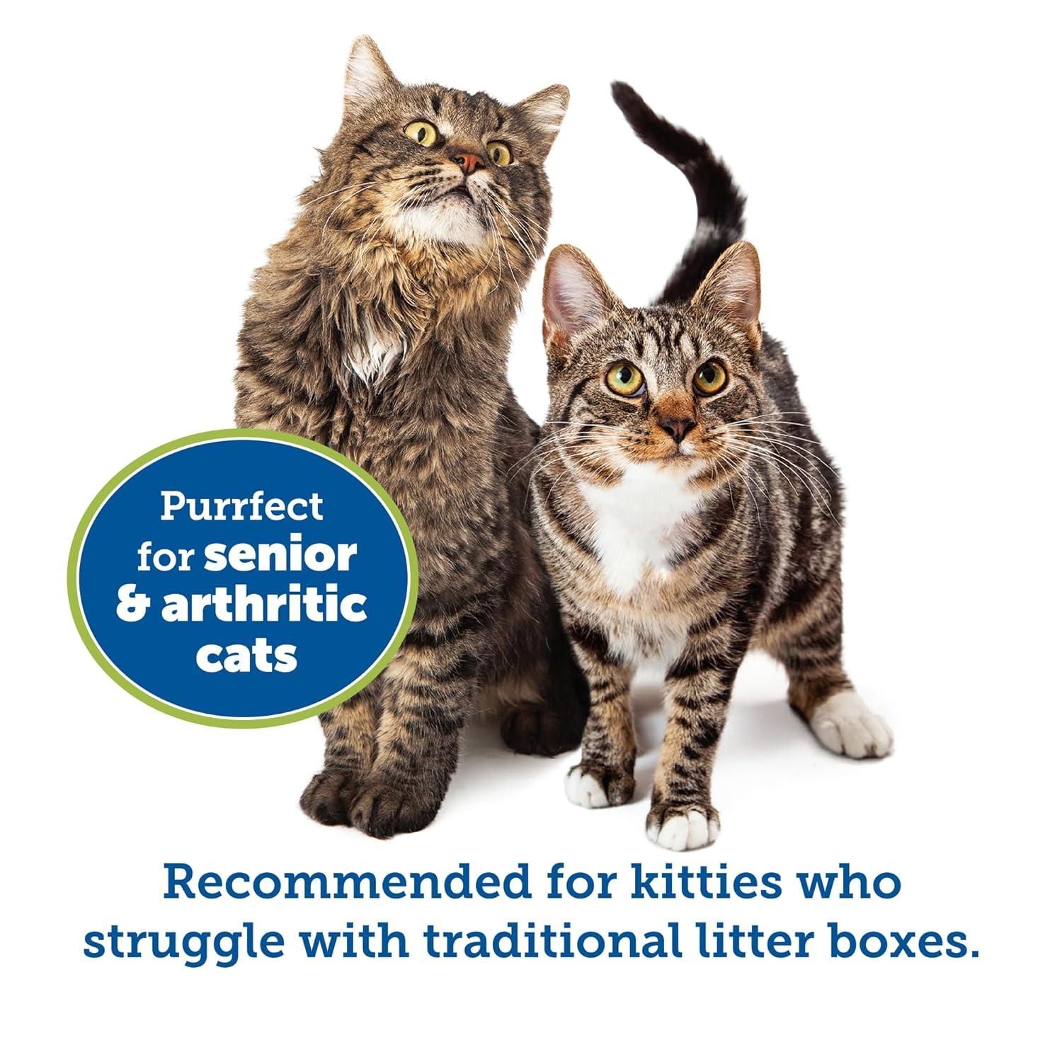 Kitty Go Here Senior Cat Litter Box Sand Color, Small Size