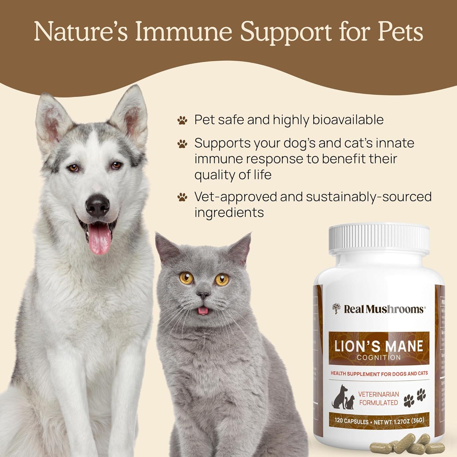 Real Mushrooms Lion's Mane, For Dogs and Cats, 120 Capsules