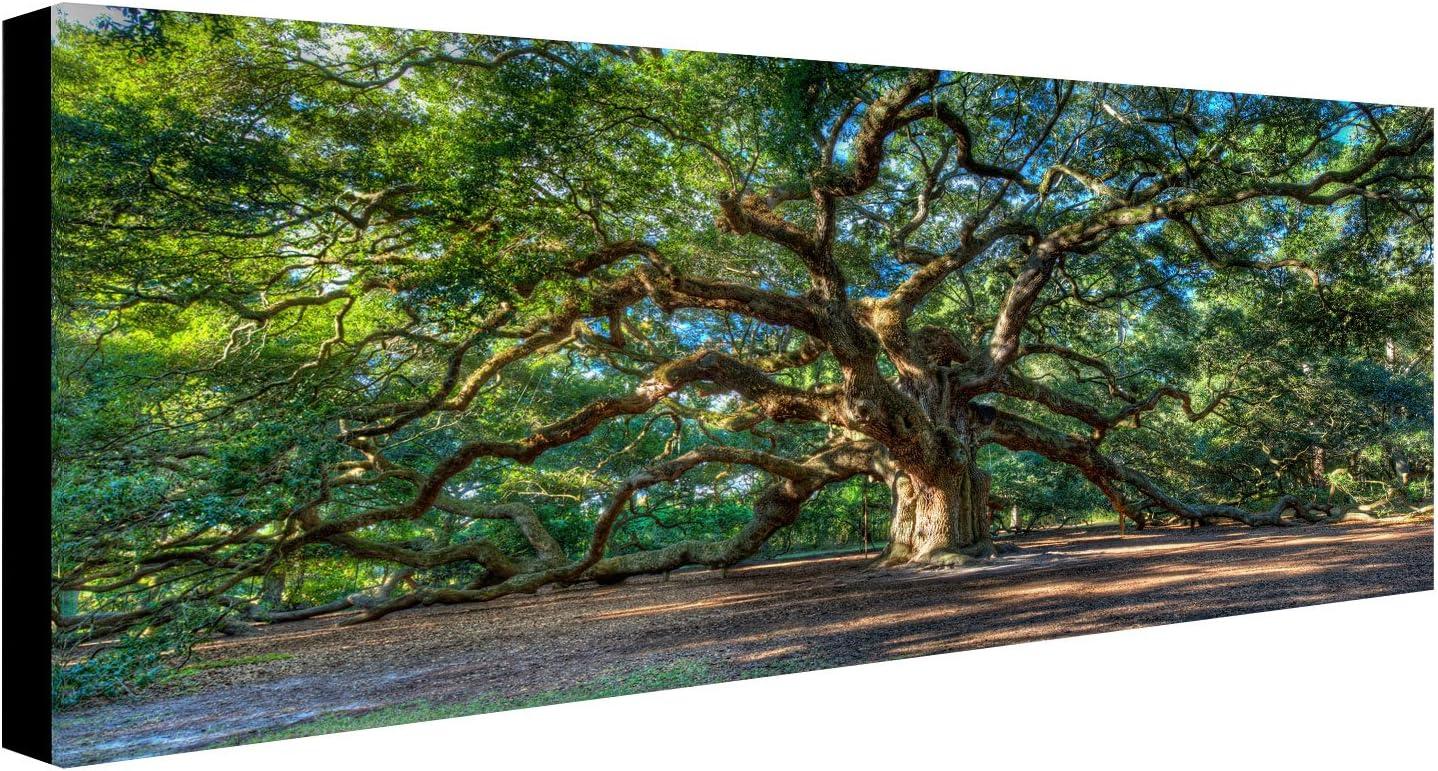 "Angel Oak Charleston" Canvas Art by Pierre Leclerc