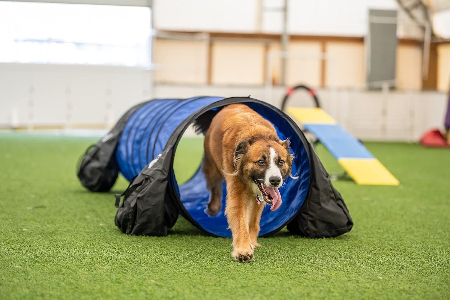 Better Sporting Dogs 10 Foot Dog Agility Tunnel with Sandbags | Dog Agility Equipment | Dog Agility Training