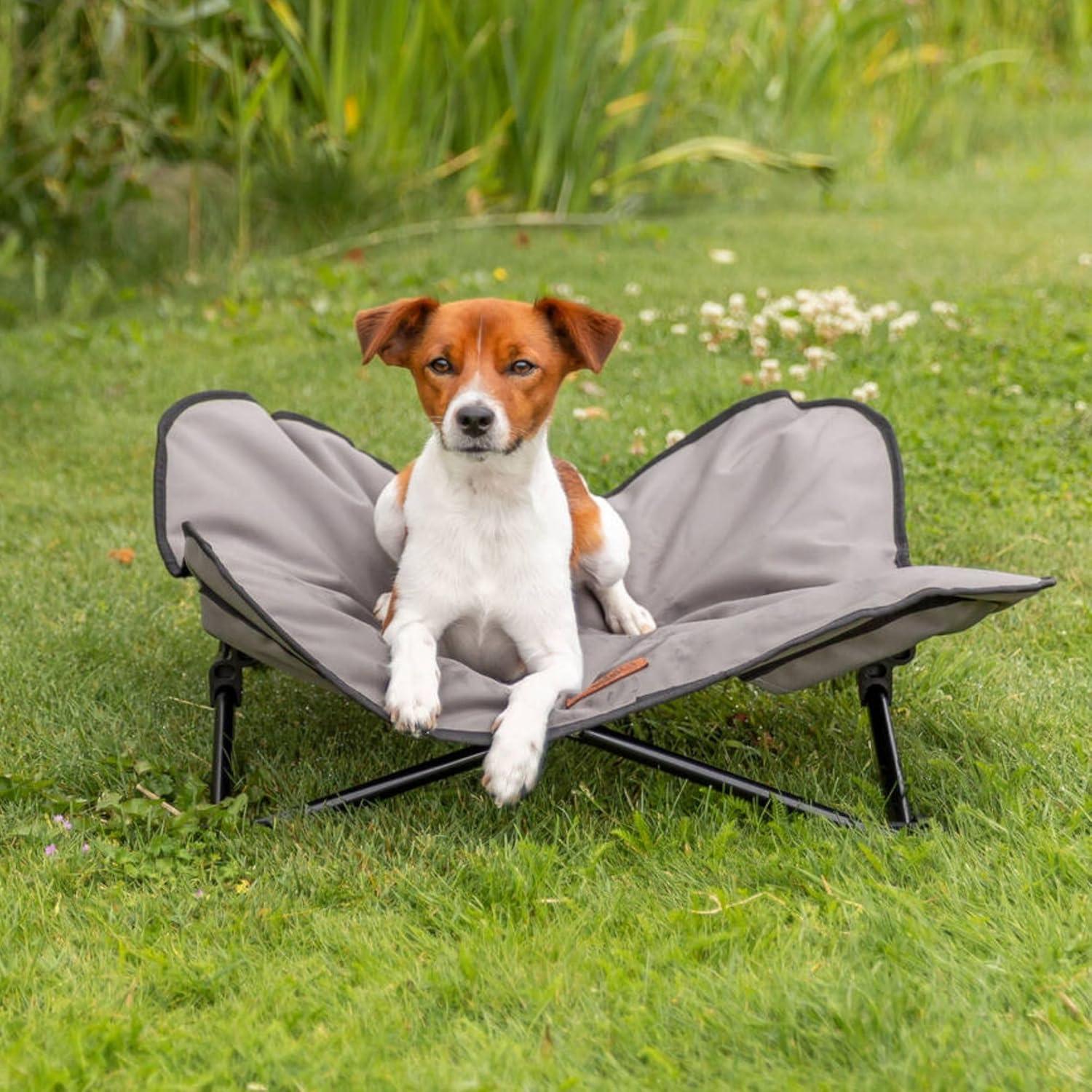 TRIXIE TRIXIE Camping Cot for Dogs, Elevated Dog Bed, Folding Padded Pet Bed, Raised Travel Lounger for Dogs