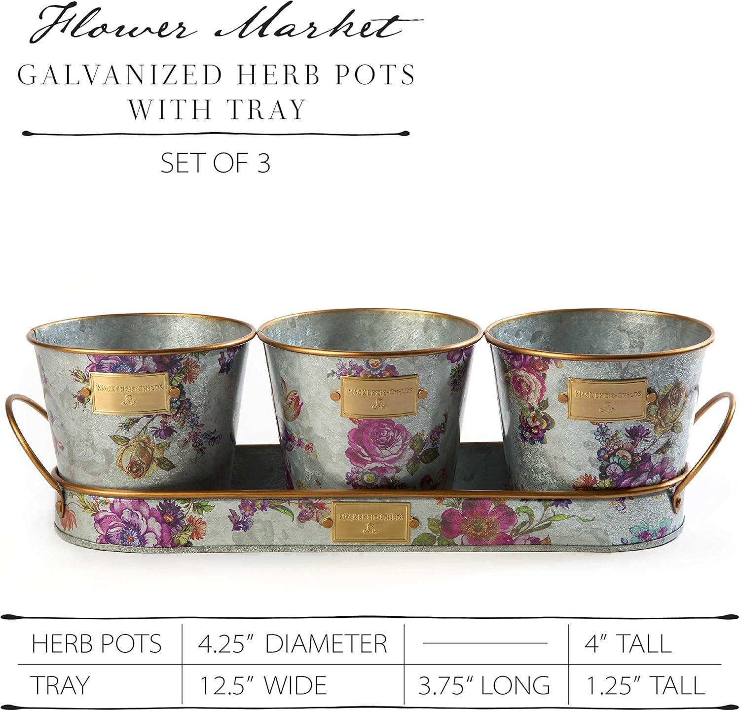 MacKenzie-Childs Flower Market Galvanized Herb Pots With Tray, Set Of 3
