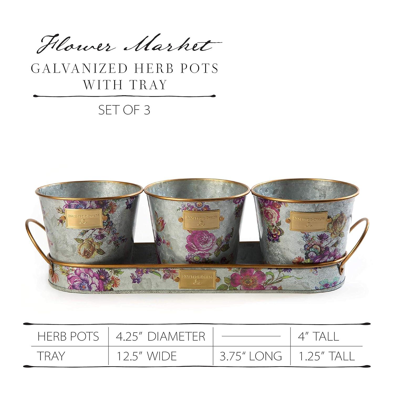 MacKenzie-Childs Flower Market Galvanized Herb Pots With Tray, Set Of 3