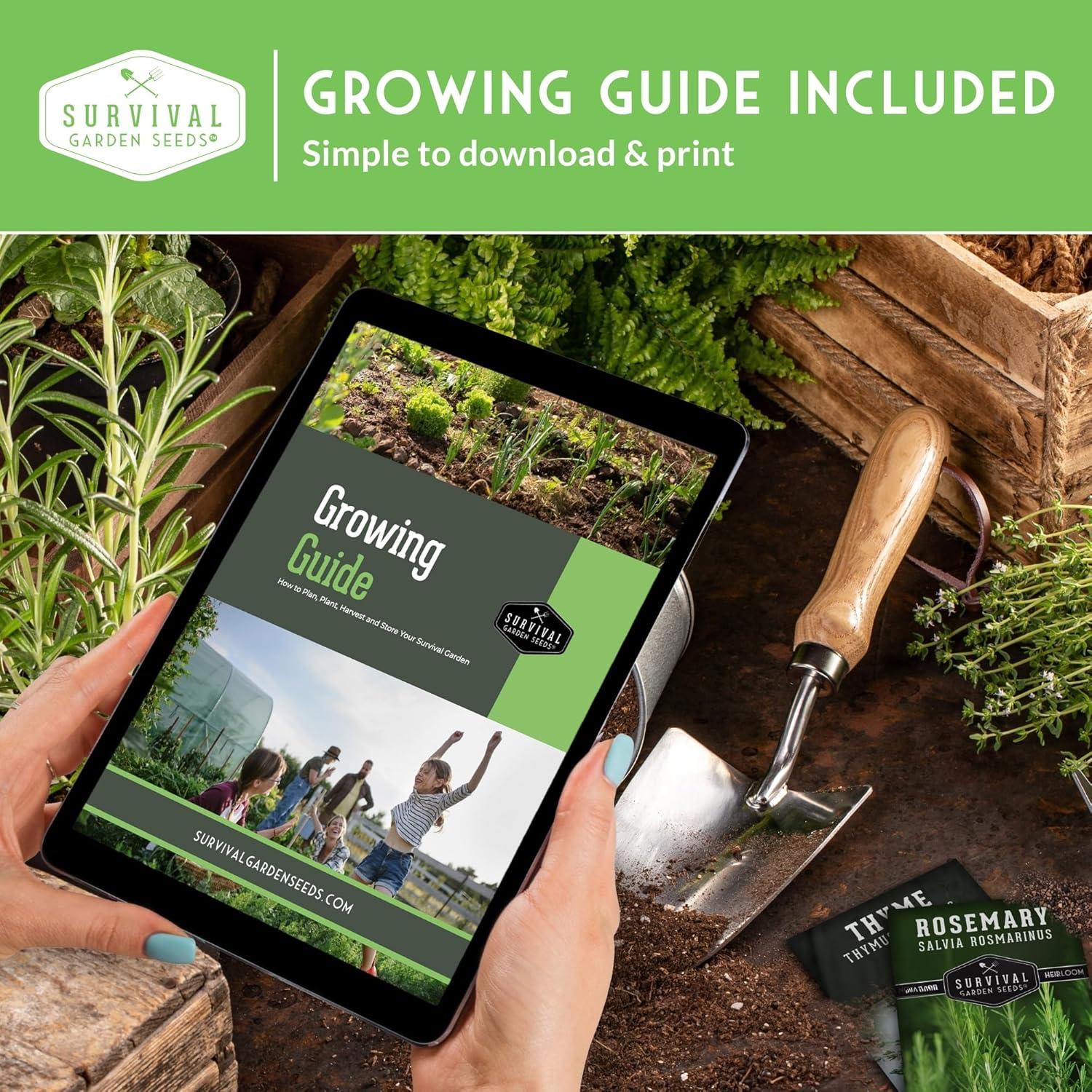 4 Packs Poppy Flower Seed - California, Golden West, Mikado, Red Corn - Full Sun Annual