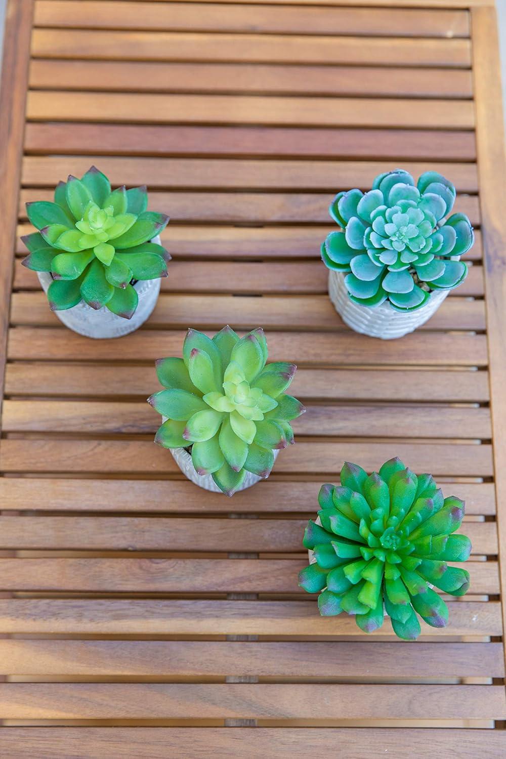 Valentine's Day Faux Succulent Duo in Artisan Cement Pots