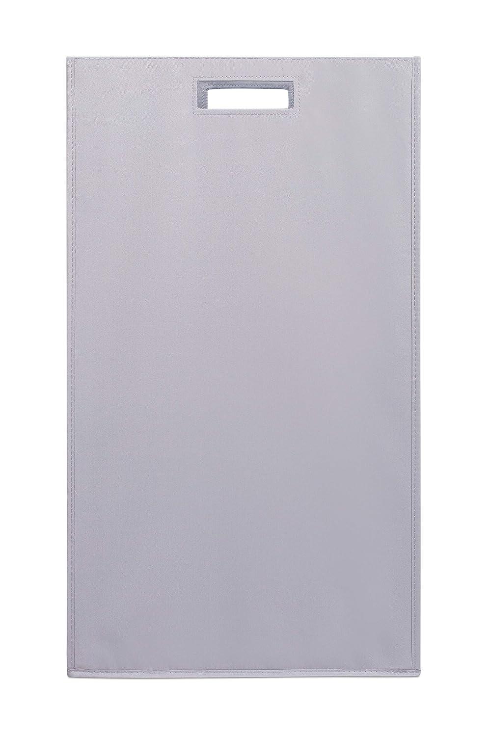 BirdRock Home Internet's Best Fabric Laundry Hamper with Handles