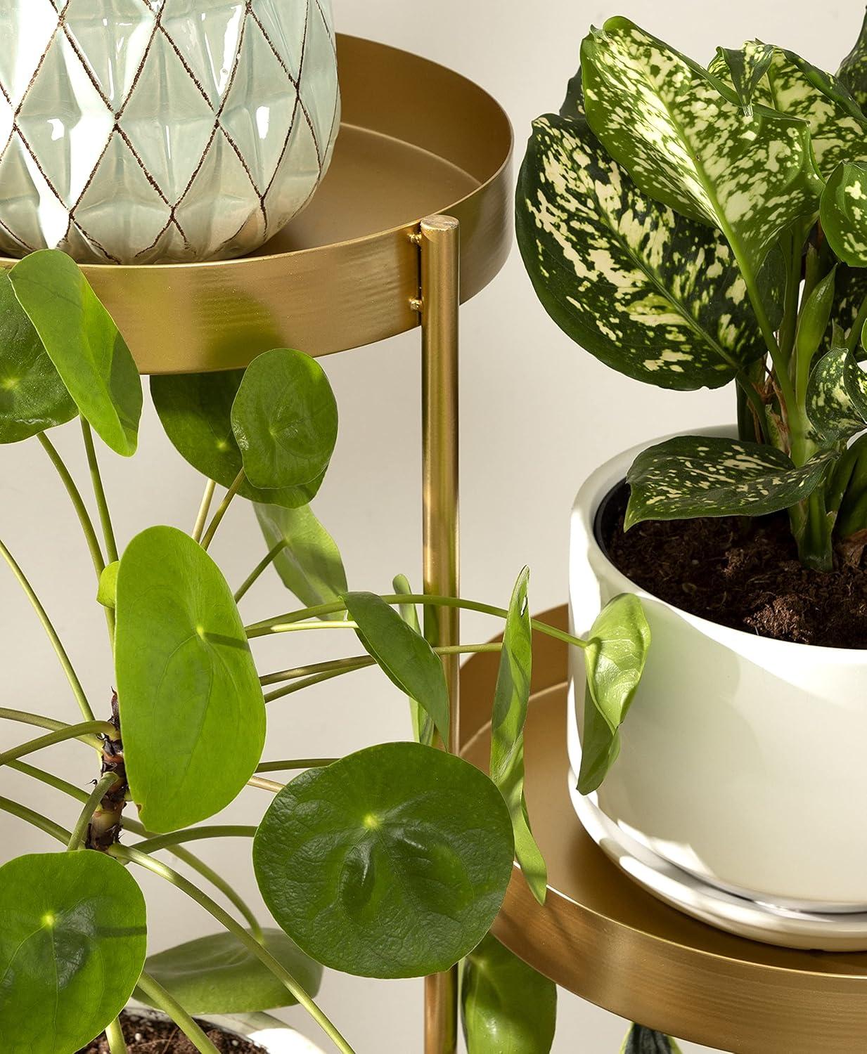 Kate and Laurel Finn Plant Stand, 10x11x44, Gold