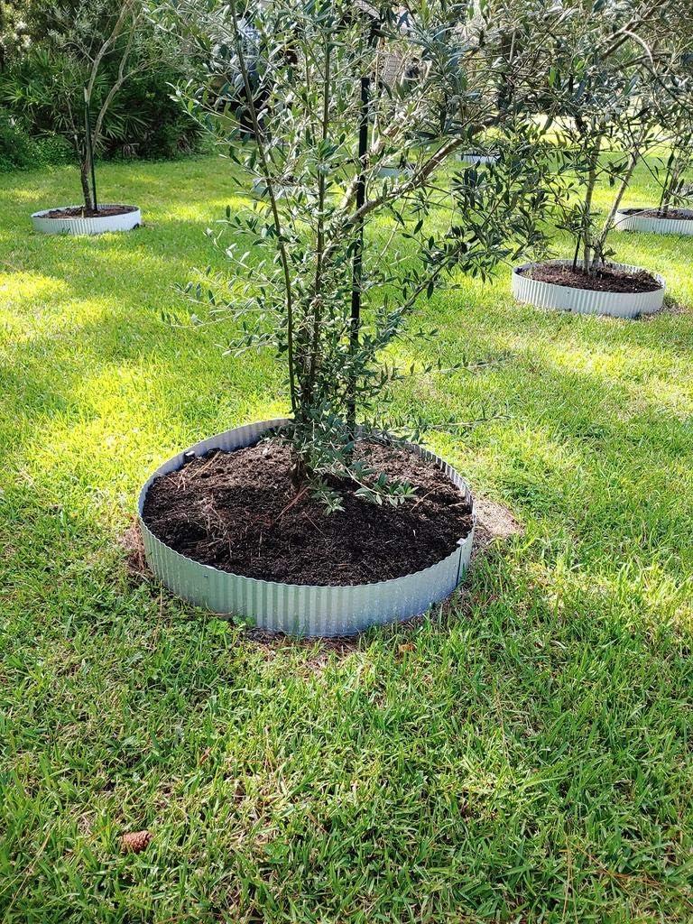 Metal Lawn Edging