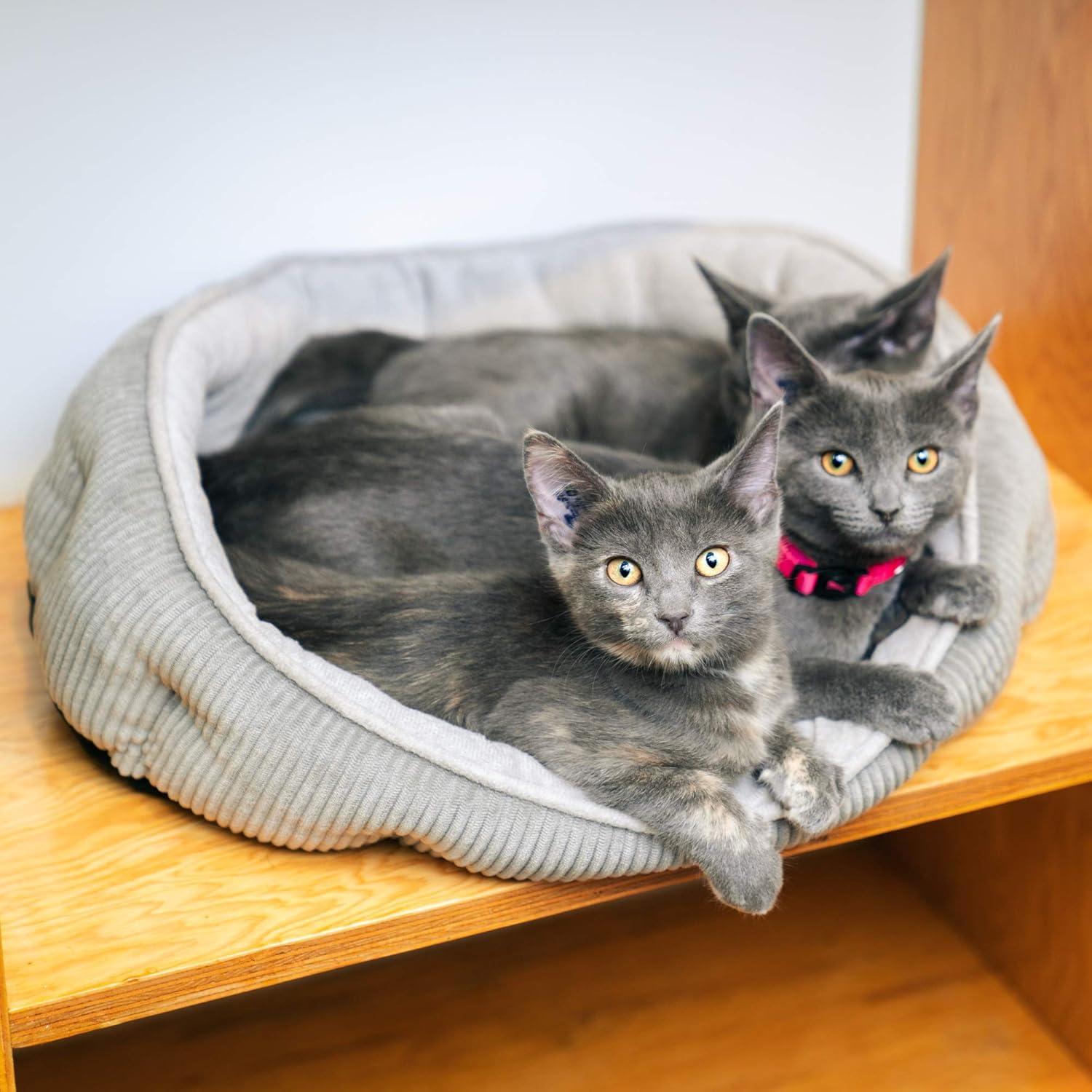 Pet Craft Supply Sleeper Self Warming Calming Cat Bed with Ultra Soft Luxury Plush & Refillable Catnip Pouch, Grey