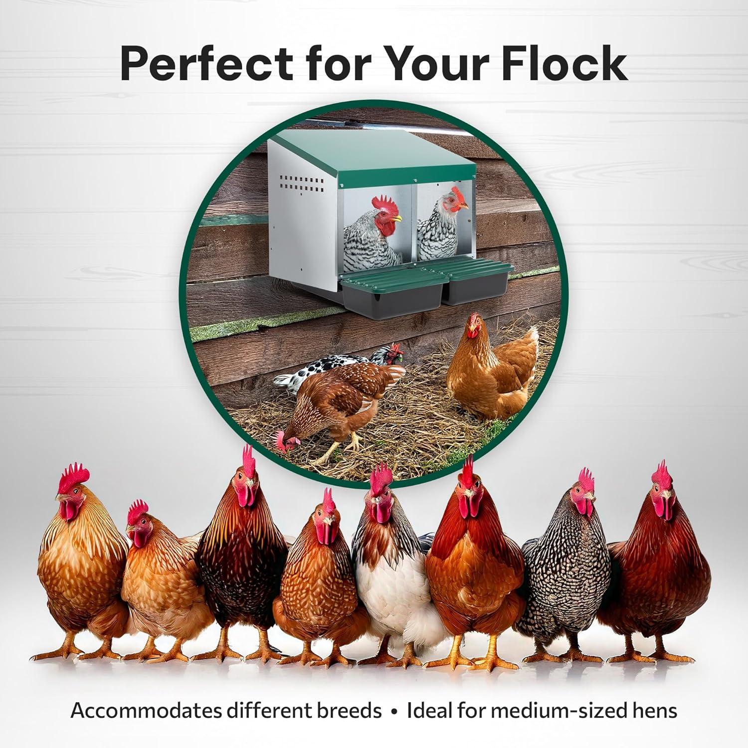 Compact Style 3 Compartment, Forward Rollout & Rollaway, Hen & Chicken Nesting Box with Protective Egg Laying Collection Lids