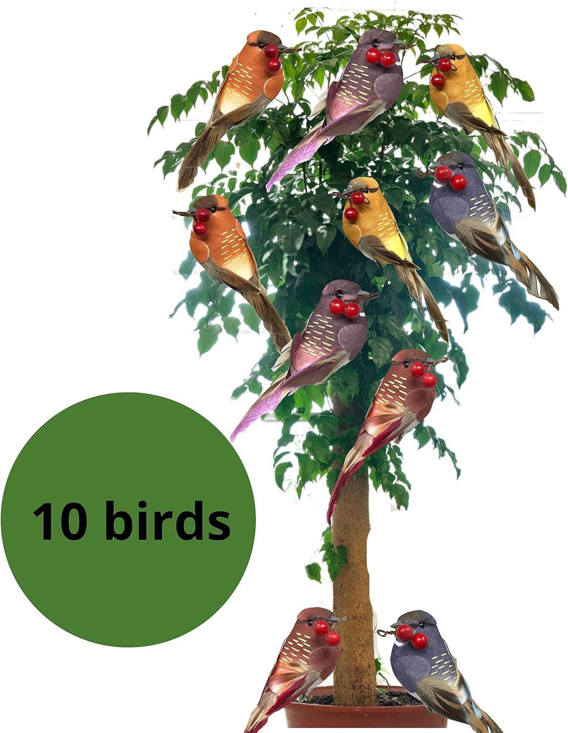 Songbird Christmas Ornaments - Set of 10 Clip Ons
