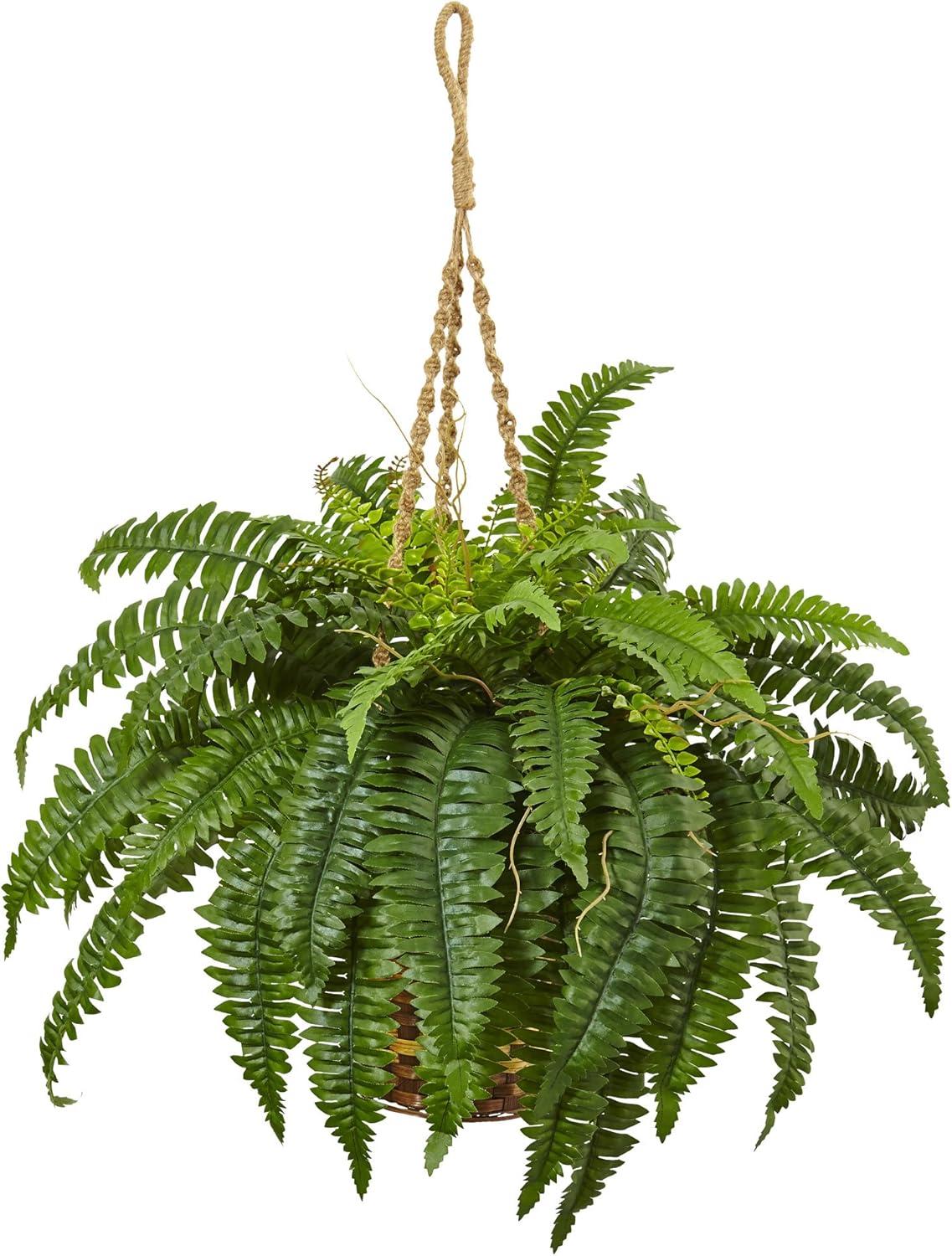 Nearly Natural Boston Fern Hanging Basket